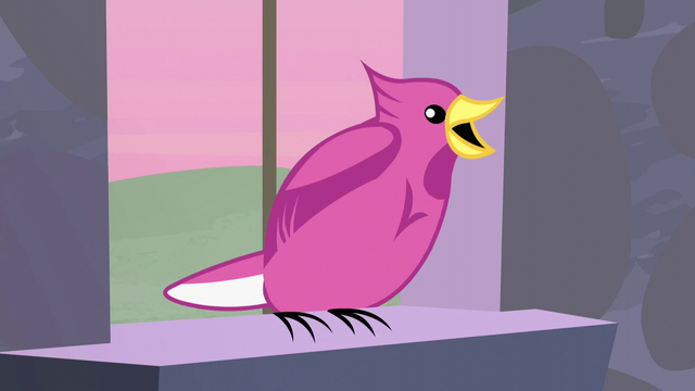 File:The bird can't understand Fluttershy S5E02.png