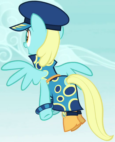 File:Sassaflash's Fairy Flight costume ID S4E21.png