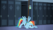 S05E05 Rainbow Dash jest w fabryce