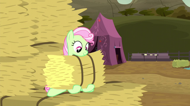 File:Florina catches the hay bale S5E6.png