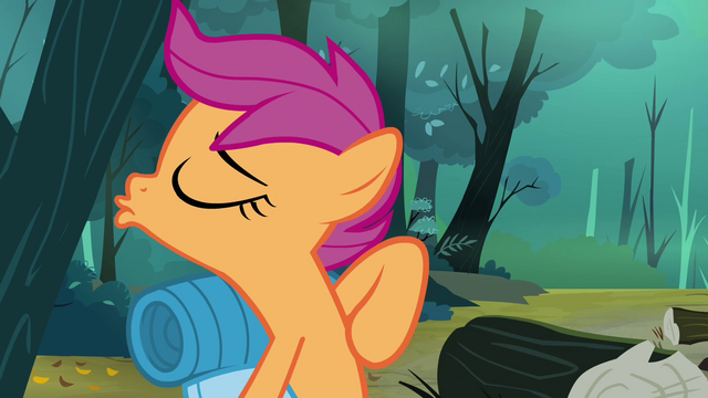 File:Scootaloo strange expression S3E6.png