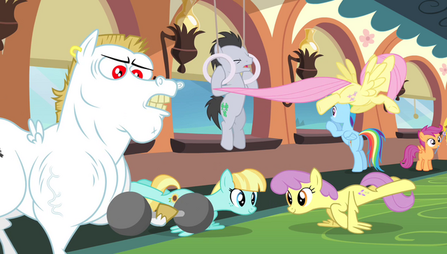 File:Ponyville teams training S4E24.png