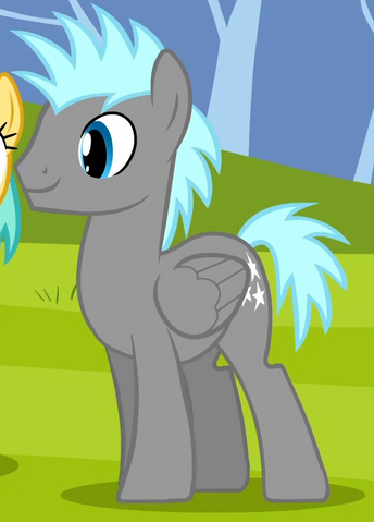 File:Twilight Sky Pegasus S2E22.png