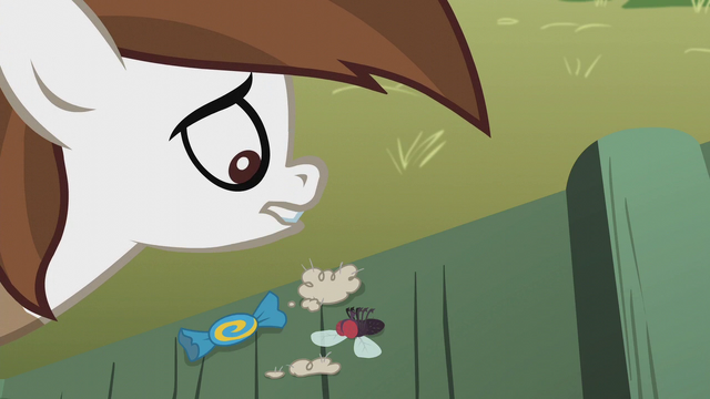 File:Contents of Pipsqueak's "Peggy" bank S5E18.png