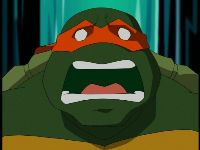 File:2500777-turtle702.jpg