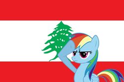 Lebanese Rainbow Dash
