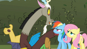 Discord with Rainbow Dash and Fluttershy S2E01.png