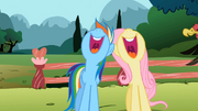 Rainbow Dash and Fluttershy singing in unison S2E7.png