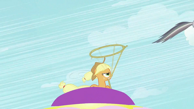 파일:Applejack about to lasso Rainbow Dash S2E02.png