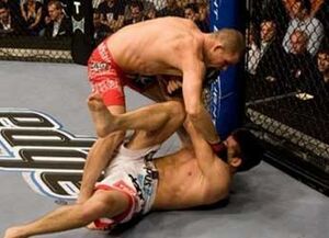 Bisping-day