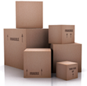 File:E1P.png