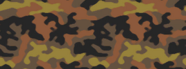 Fall Camo