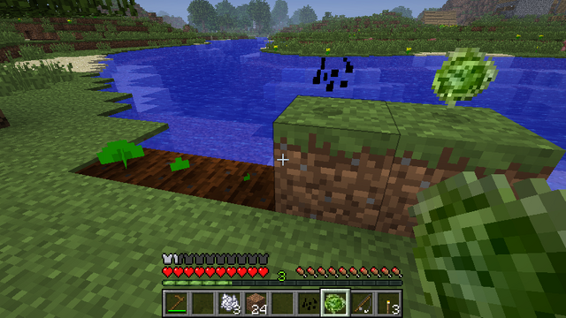 File:The Life of Lettuce.png