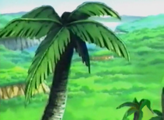 Kalaragi Rainforest