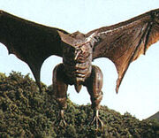 Gyaos