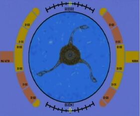 Macrovirus small, Macrocosm