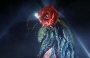 Biollante Rose Form