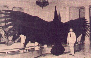 Thunderbirdimage