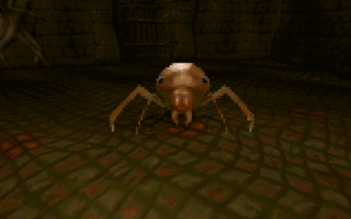 Spider Front