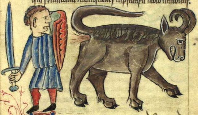 File:Bonnacon.jpg