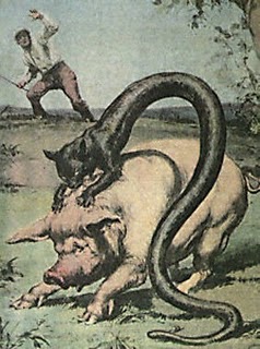 Tatzelwurmimage
