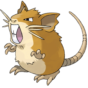 020Raticate