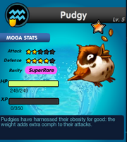 Pudgy