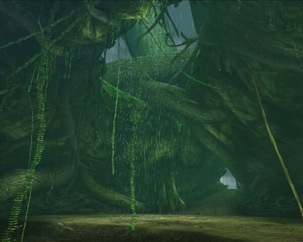 File:TreeApex1.jpg