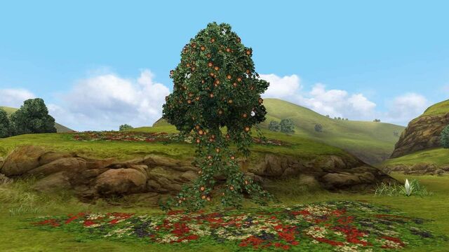 File:MHFGG-Flower Field Screenshot 005.jpg
