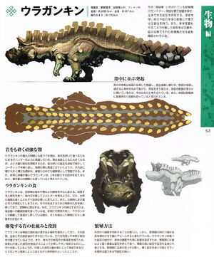 Uragaan-Encyclopedia