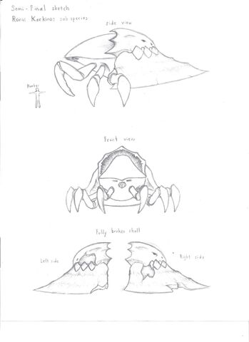 File:Ronin Karkinos Sketch 001.jpg