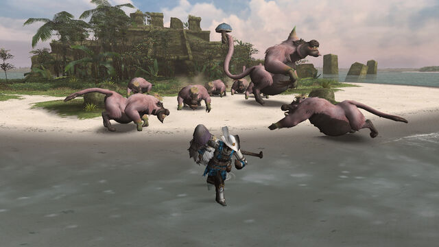 File:Conga Pack.jpg