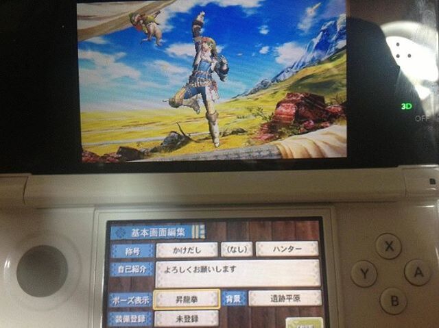 File:Mh4 guild card pose.jpg