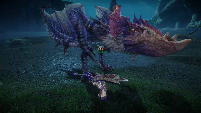 File:MHO-Yian Garuga Screenshot 001.png