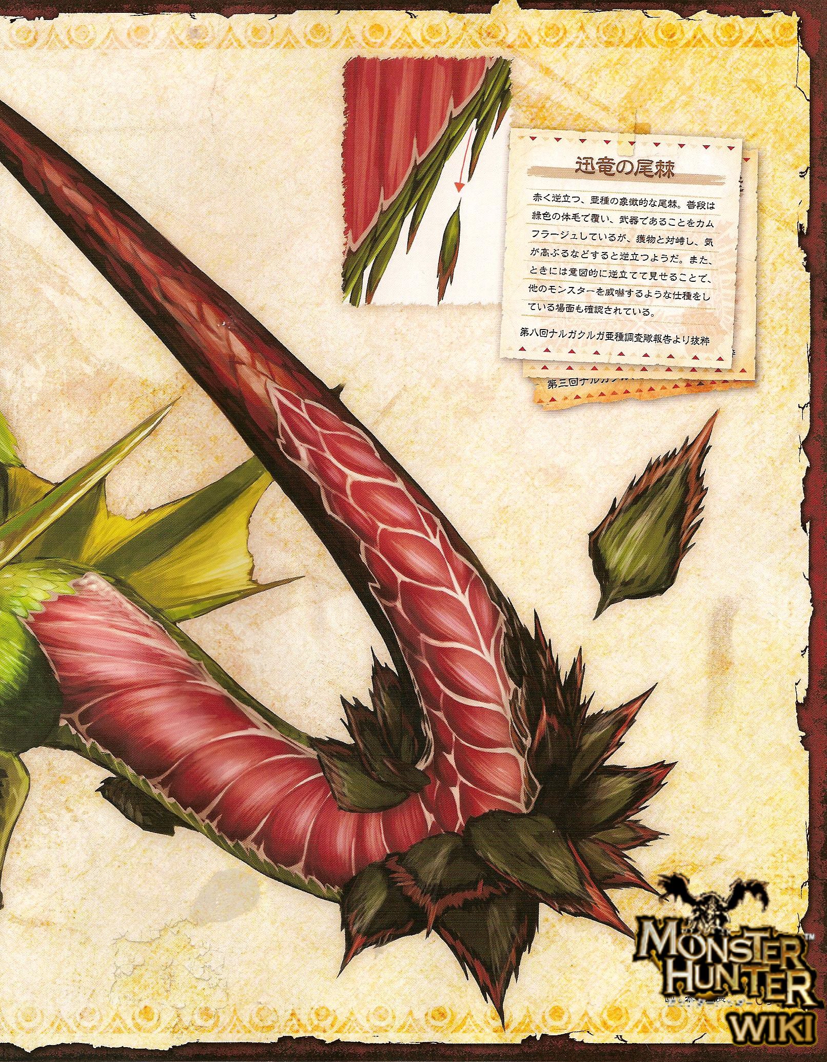 Image Narga Sub Scan 4 5 Jpg Monster Hunter Wiki FANDOM Powered   Latest