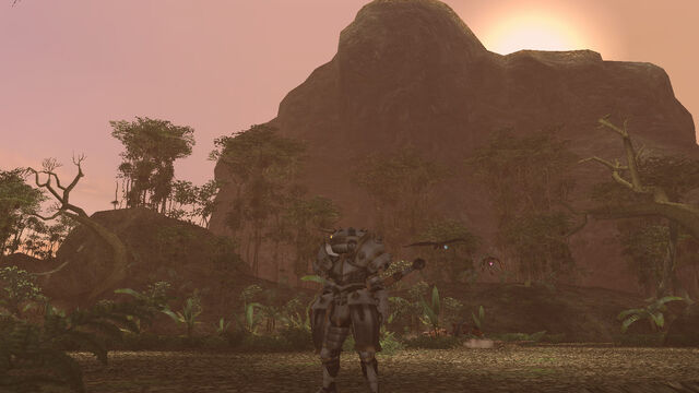 File:Jungle Late.jpg
