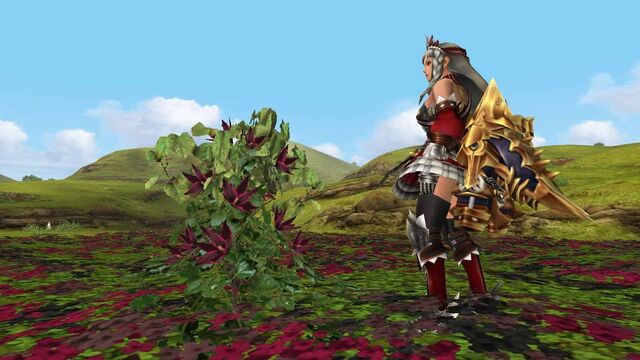 File:MHFGG-Flower Field Screenshot 008.jpg
