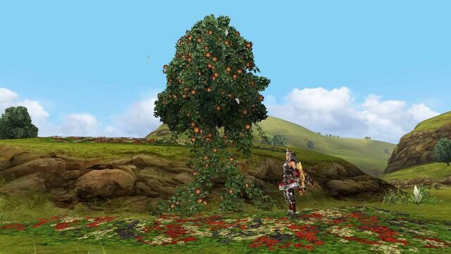 File:MHFGG-Flower Field Screenshot 009.jpg