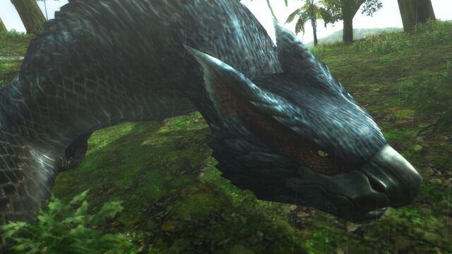 File:FrontierGen-Nargacuga Screenshot 001.jpg