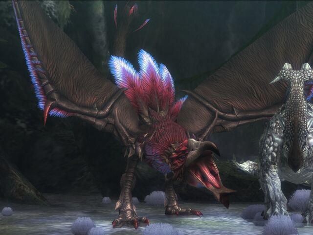 File:HG Breeding Season Hypnoc 2.jpg