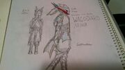 Wacodorisarmor