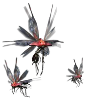 Bnahabra.png