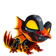 Plethodon-fase1
