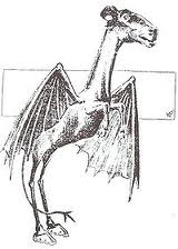 Jersey devil