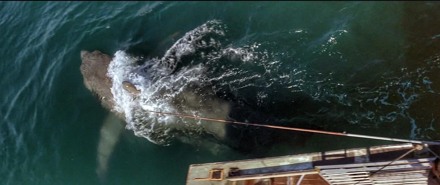 Bruce (Jaws) Monster Moviepedia FANDOM powered by Wikia
