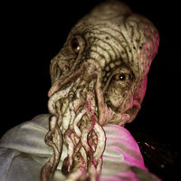 Ood elder