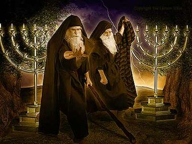 2-WITNESSES
