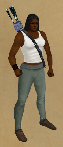 File:Quicksilver Quiver.png
