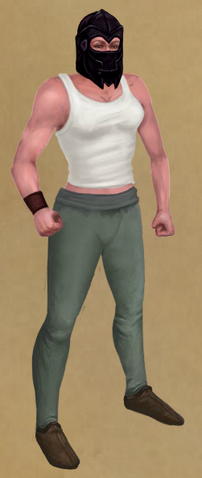 File:Assassin's Cowl.png