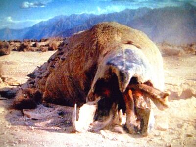 Tremors 035